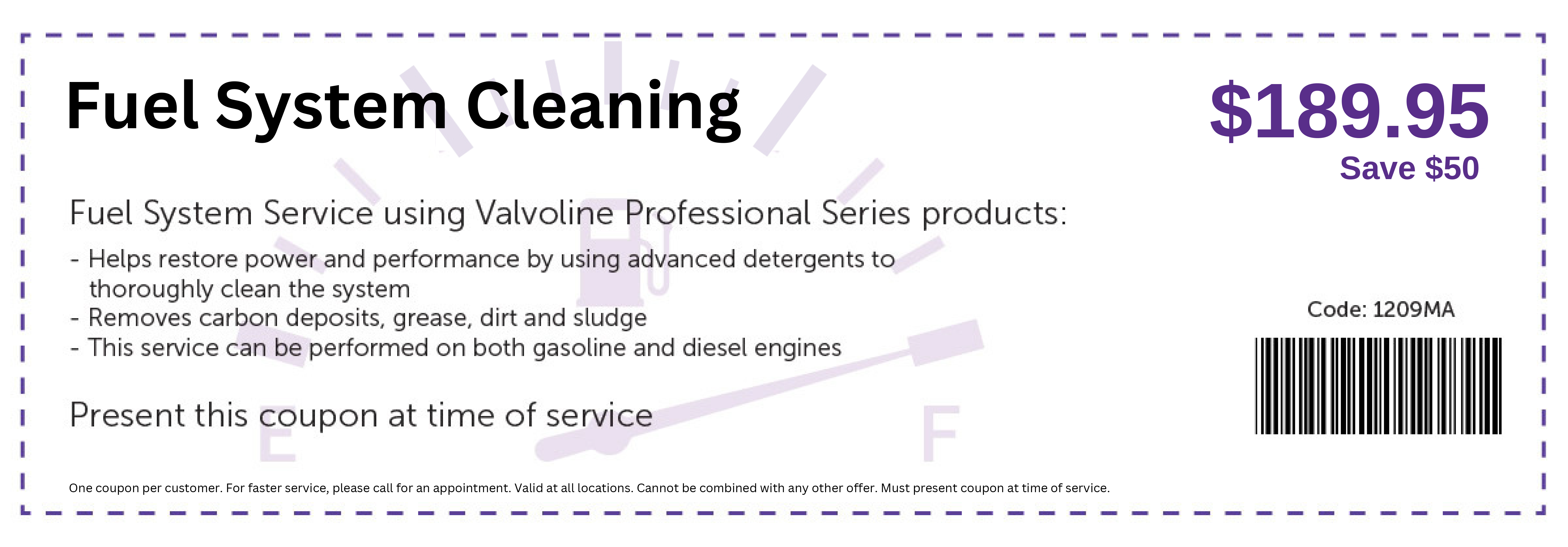 Fuel System Cleaning Special